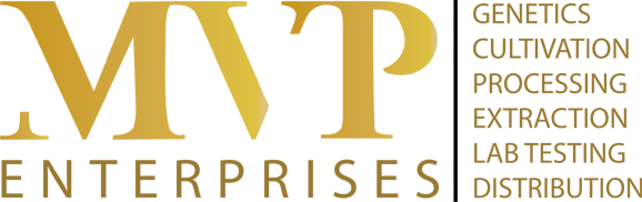 MVP Enterprises