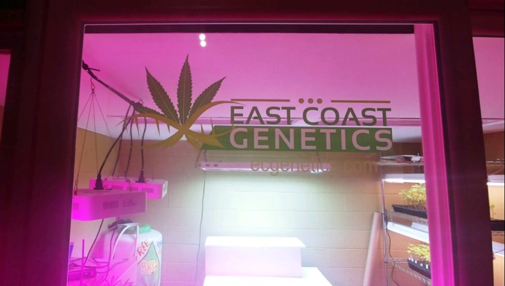 East-Coast-Genetics
