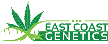 east-coast-genetics-logo